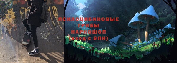 бошки Горнозаводск