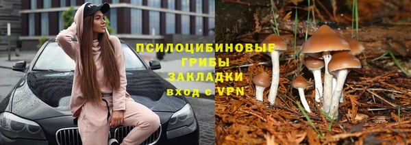 спиды Горняк
