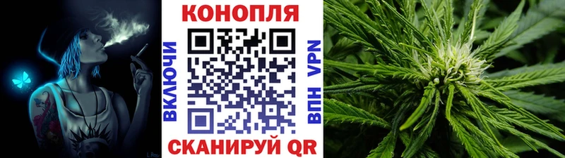 Купить где  Кириллов  Канабис сатива 